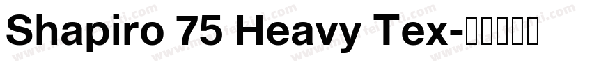 Shapiro 75 Heavy Tex字体转换